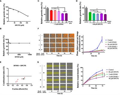 Dual Inhibition of Ornithine Decarboxylase and A1 Adenosine Receptor Efficiently Suppresses Breast Tumor Cells